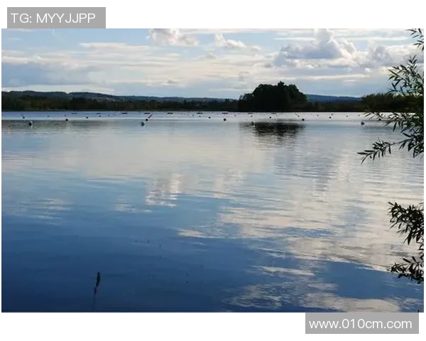 dota2延雪平比赛-DOTA2延雪平比赛的激情与荣耀-dota2延雪平比赛