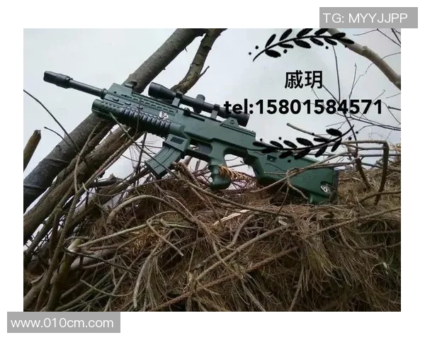 浩方cs比赛-精彩回顾，浩方CS比赛旅程记实-浩方cs比赛